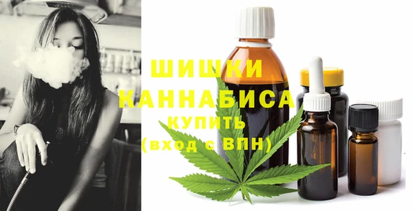 амф Михайловск