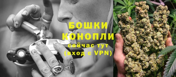 амф Михайловск