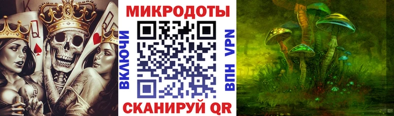 площадка официальный сайт  Арзамас  Псилоцибиновые грибы Psilocybine cubensis 