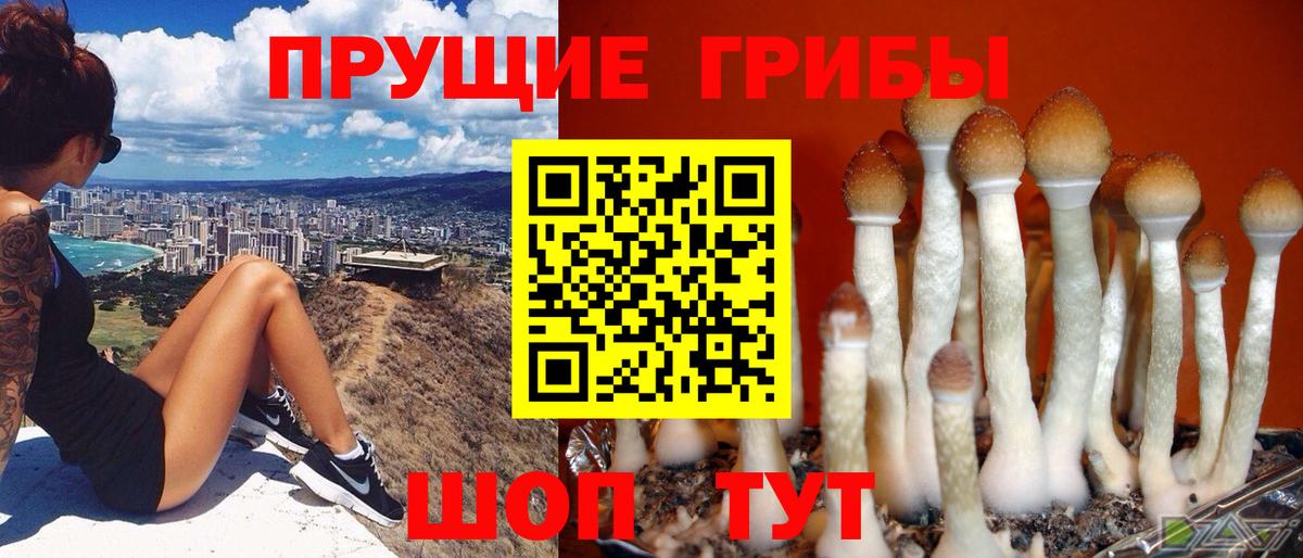 Галлюциногенные грибы GOLDEN TEACHER Арзамас